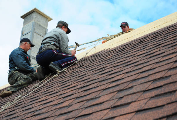 Best Roof Gutter Cleaning  in Tunica Resorts, MS